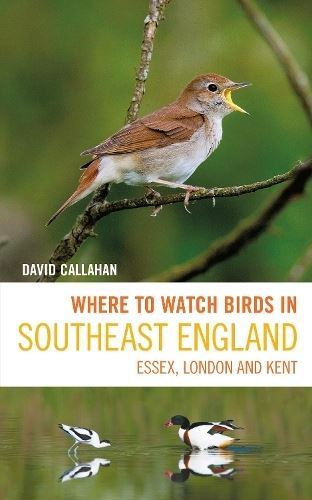 Where watch birds - where, to