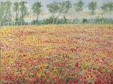 Meadow spring flowers - flowers, and