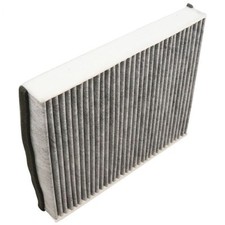 Filtro antipolline interno