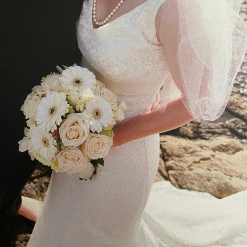 Pronovias ivory lace - ivory,