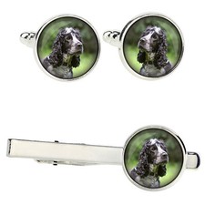 Americano Cocker Spaniel Set