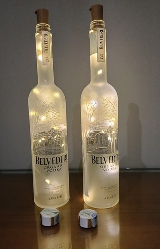 Coppia bottiglie lampada vodka - coppia,