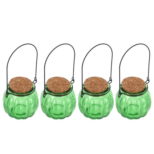 Pcs bottiglia zucca in - di,