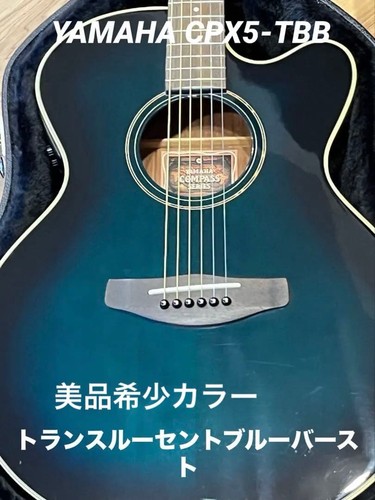 Chitarra elettrica acustica