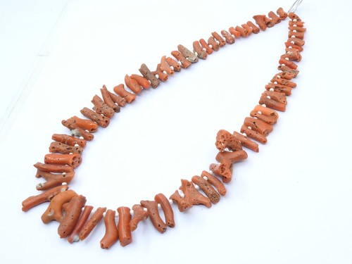 Ramo bastone grezzo corallo - ramo,