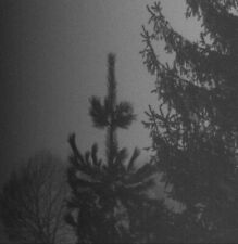 Vintlechkeit - Evig Og Mork