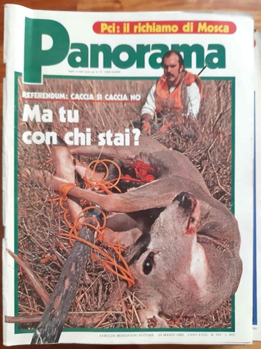 Panorama 1980 727 calcio - panorama,