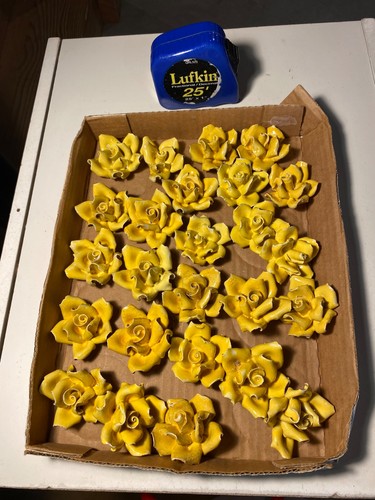 Eee lotto rose - 10,