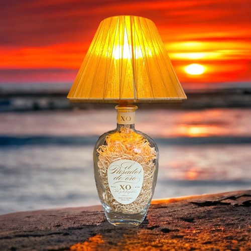 Lampade fatte con bottiglie - fatte,
