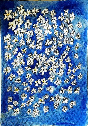 Piccoli fiori bianchi - piccoli,