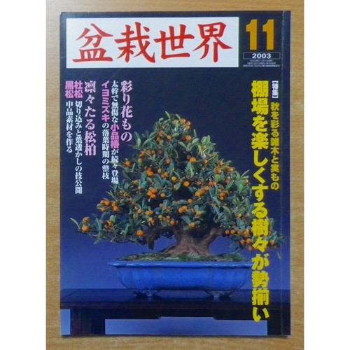 Bonsai world november - bonsai,