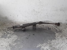 CANNA DELLO STERZO (PIANTONE)