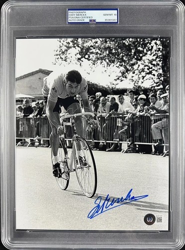 Eddy merckx autografo auto - eddy,