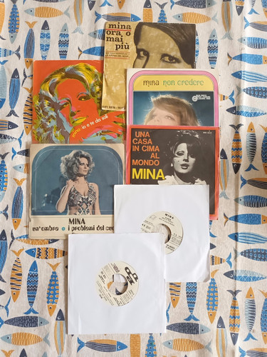 Mina giri vinile - mina,