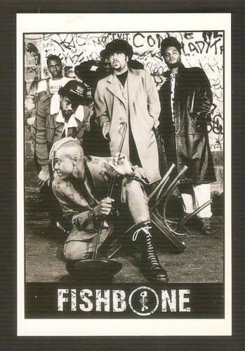 Fishbone carte postale - fishbone,