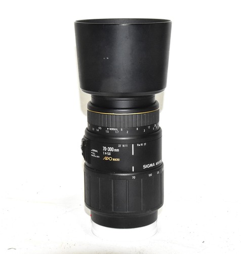 Sigma 300mm 5 6 - af, apo