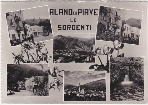 Alano piave belluno le - -,