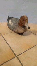 Anatra Papera Galleggiante