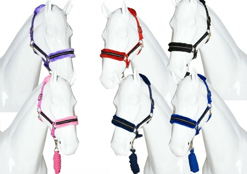 Set corda piombo collare - corda,