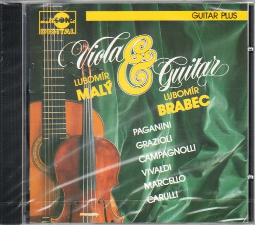 Viola and guitar - guitar, music