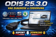 Software diagnostico VAG ODIS
