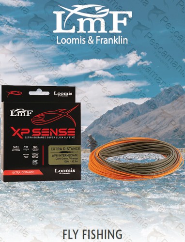 Coda topo lmf loomis - lmf,