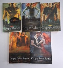 Buch: The Mortal Instruments