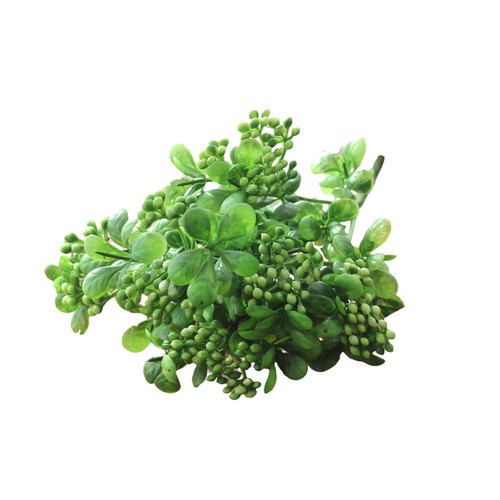 Frutta artificiale piante da - ,