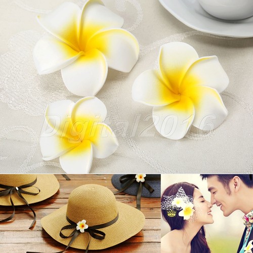 50pz fiore frangipani - fiore,