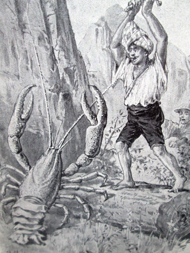 Salgari gemma del fiume - salgari,