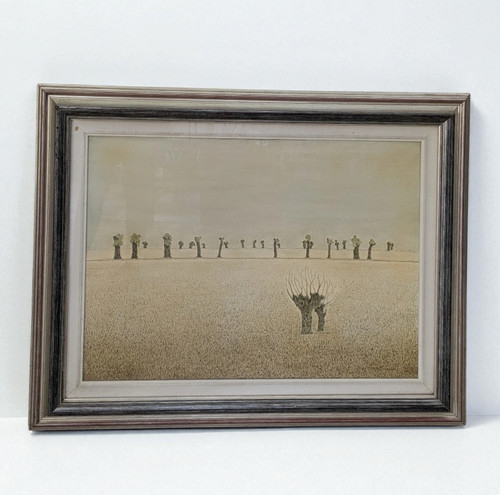 Bruna calci paesaggio - bruna,