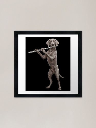Weimaraner suona flauto