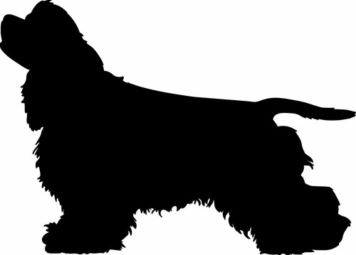 Adesivo vinile cocker spaniel - adesivo,