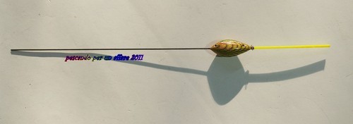 Maver 7896 invincible carp - maver,