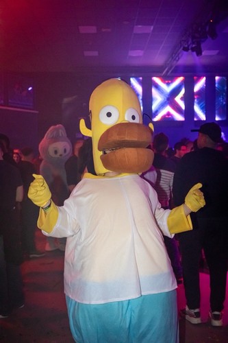Mascotte costume homer simpson - homer,