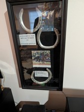 Cavallo da corsa scarpe di