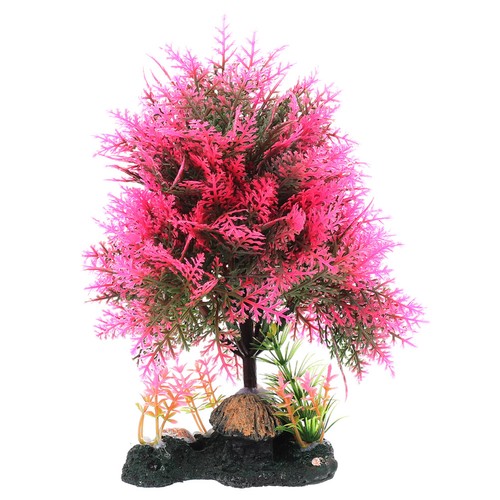 Piante acquario decorazione - piante, d'acquario