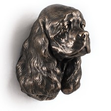 Cocker Spaniel americano testa