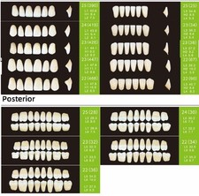 DENTI PROTESI RESINA FORMA A  5 VARIABILI - 3 STRATI SET KAIYU BOCCA COMPLETA