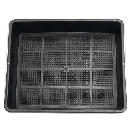 Grow box serra succulenta - grow,
