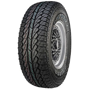 Gomme auto estive 255 - 70, r16