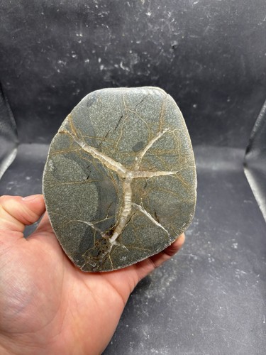 Minerali septaria panaro - **,