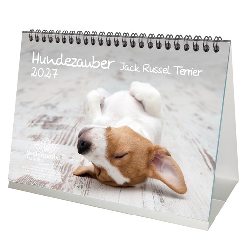 Magia per cani jack russel - per,