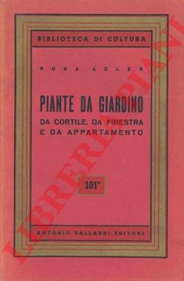 Adler rosa piante da - rosa,