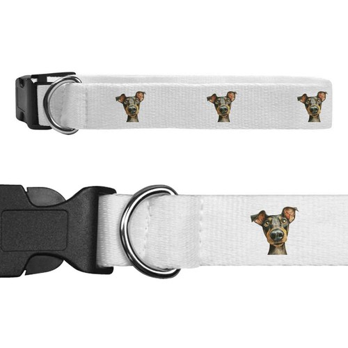 Collari per cani funny - per,