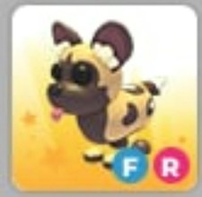 African wild dog - african,