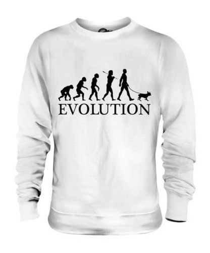 Bulldog francese evolution - francese, of