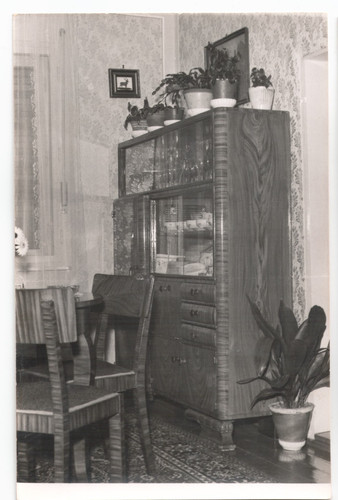 Vetrina zebrano sedie sala - sedie,