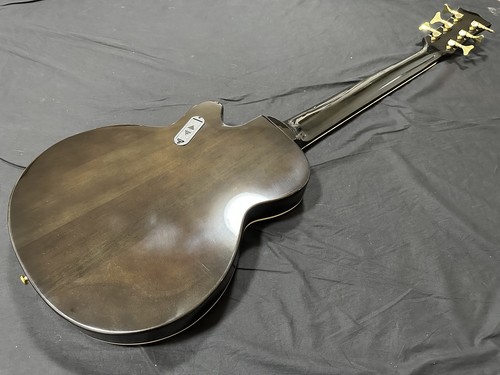 Basso elettrico semiacustico