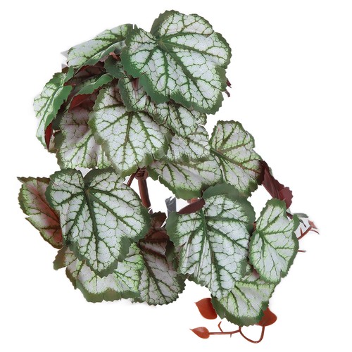 Foglie heuchera 2pcs - di,